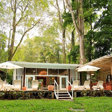 Gigi Brown Villa Frida Beachfront Puerto Viejo de Talamanca Exterior photo